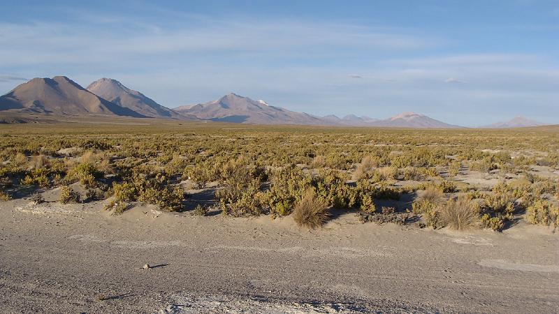 Coipasa Salt Flats S's (4).JPG